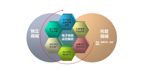 電子商務(wù)的應(yīng)用領(lǐng)域與運(yùn)營(yíng)服務(wù)