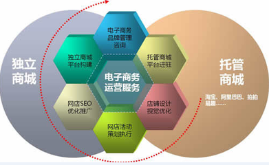 四川省廣元市電商（淘寶）高峰論壇會(huì) 電子商務(wù)運(yùn)營(yíng)服務(wù)的創(chuàng)新與實(shí)踐